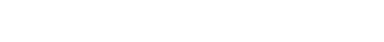 website name